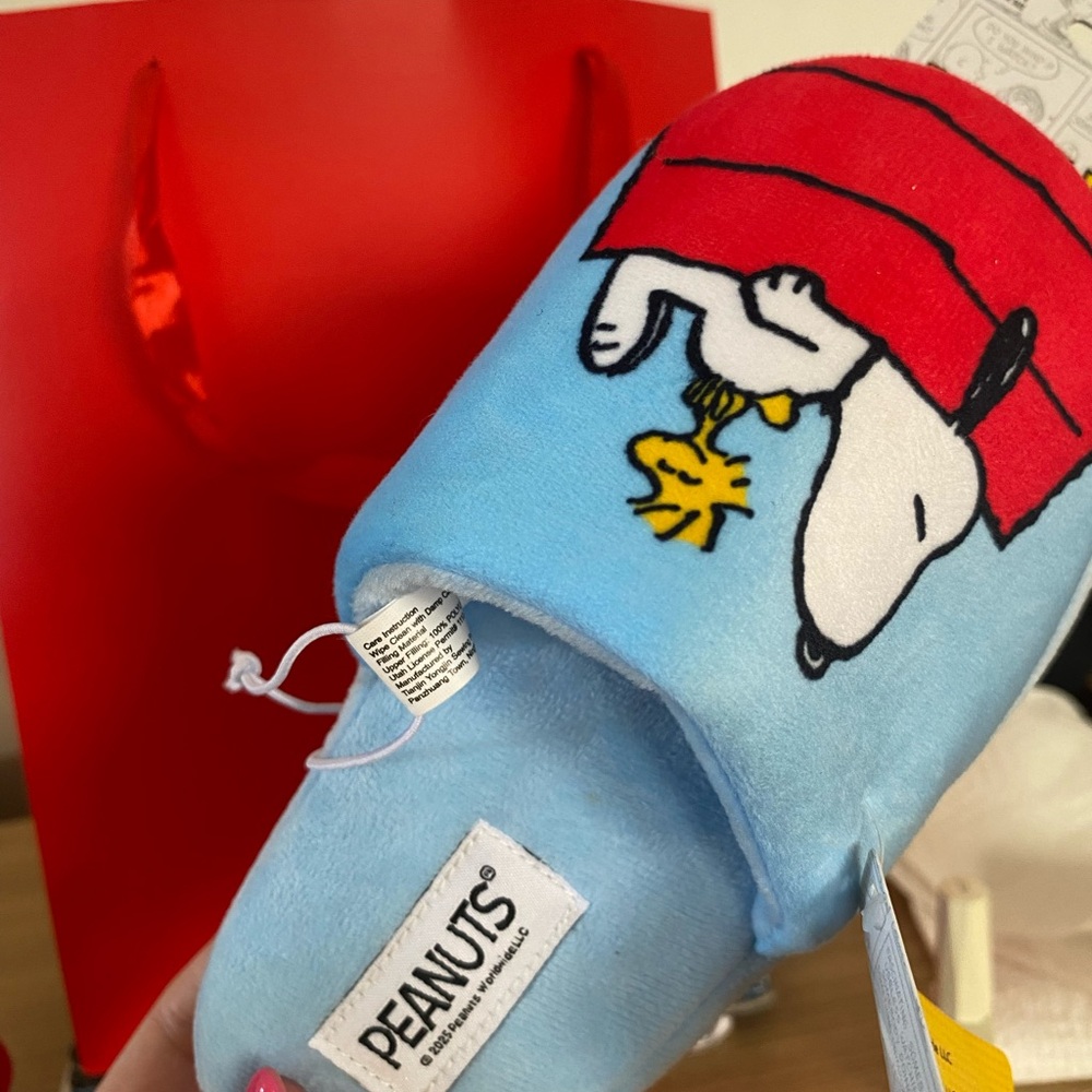 Peanuts Snoopy Red and Blue Slippers